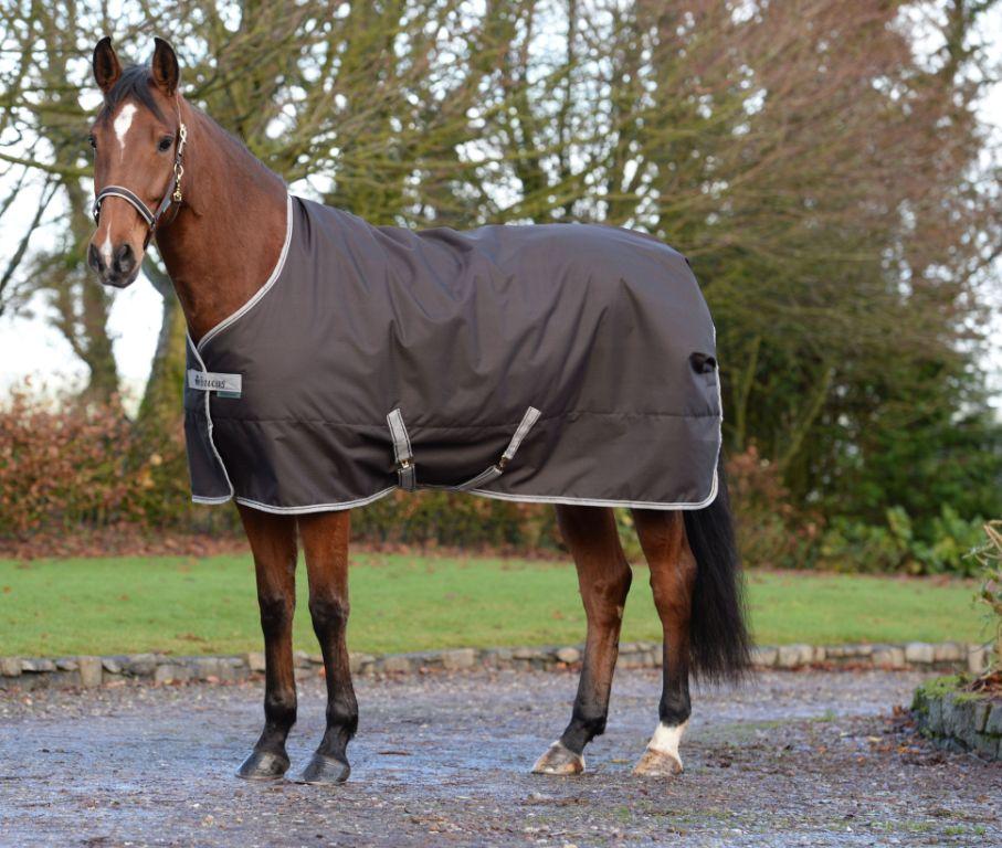 Pferd mit brauner Regendecke auf der Weide