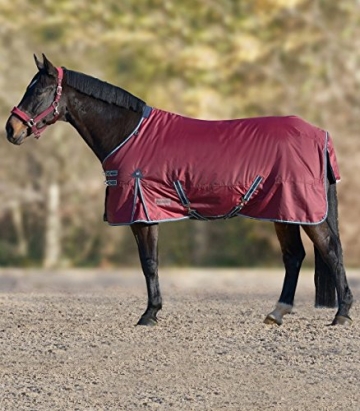 Pferd mit weinroter Waldhausen-Winterdecke