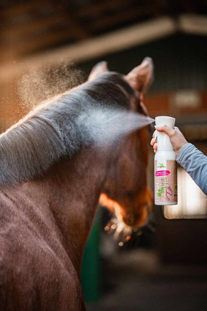 Mähnenspray wird auf die Mähne eines braunen Pferdes gesprüht