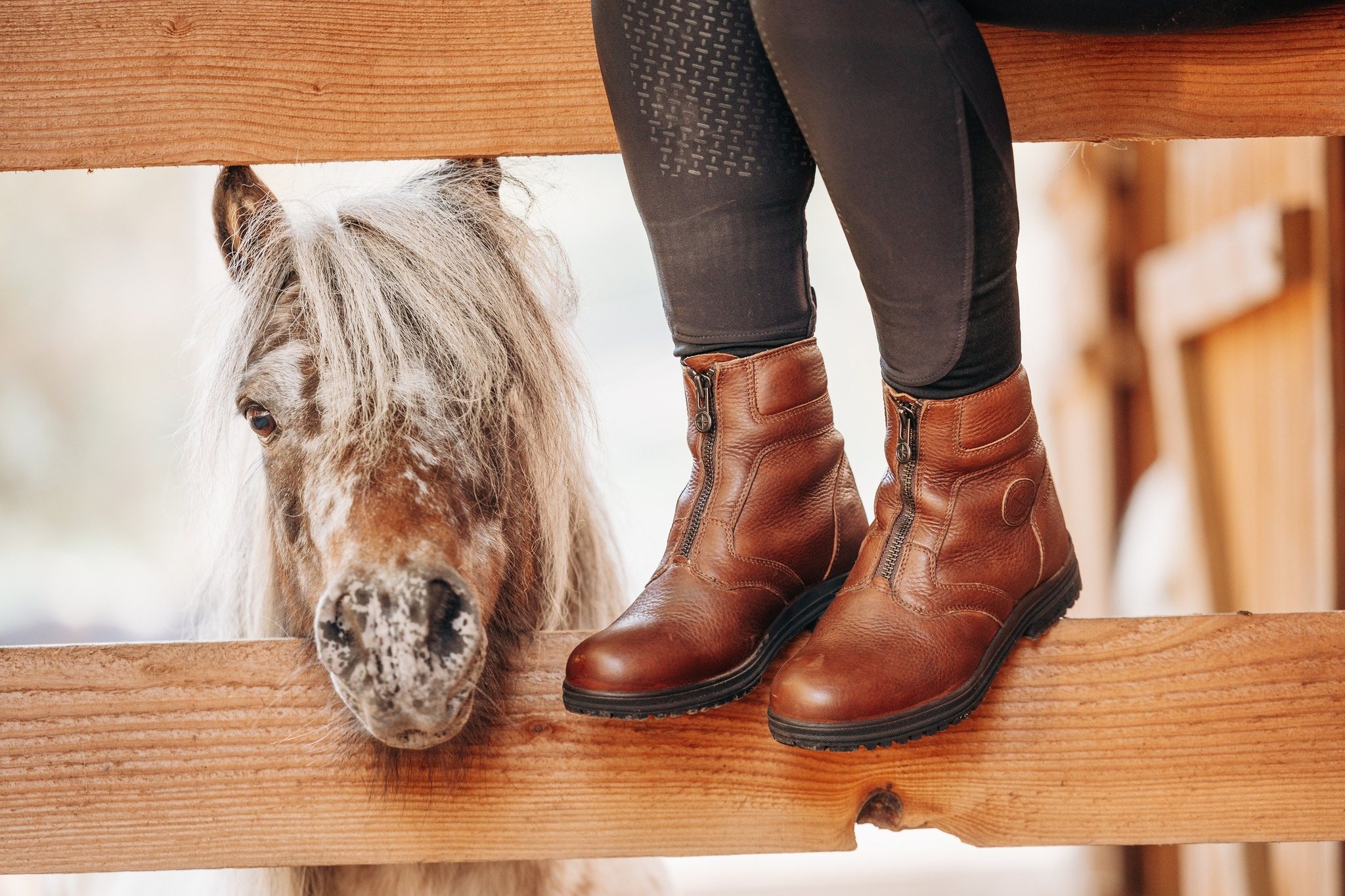 Braune Suedwind-Stiefeletten auf dem Zaun, darunter ein neugieriges Pony