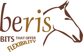 Logo Beris
